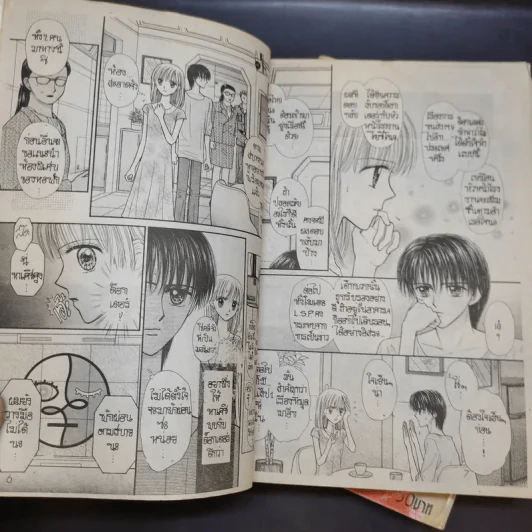 Partner พาร์ทเนอร์ 2 เล่มจบ รูปที่ 12