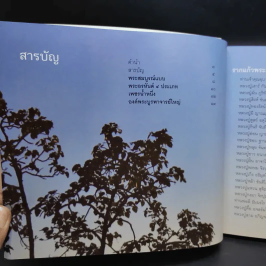 ไม่มาเกิดมาตายเรียกว่า ชาติสุดท้าย - หลวงตาพระมหาบัว รูปที่ 10