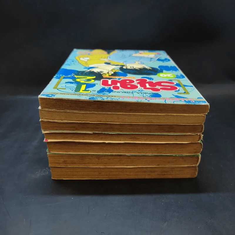 รันม่า 1/2 ไอ้หนุ่มกังฟู เล่ม 2,7,10,10,11,17,20 รูปที่ 5