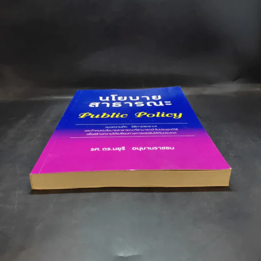 นโยบายสาธารณะ Public Policy - รศ.ดร.มยุรี อนุมานราชธน รูปที่ 4