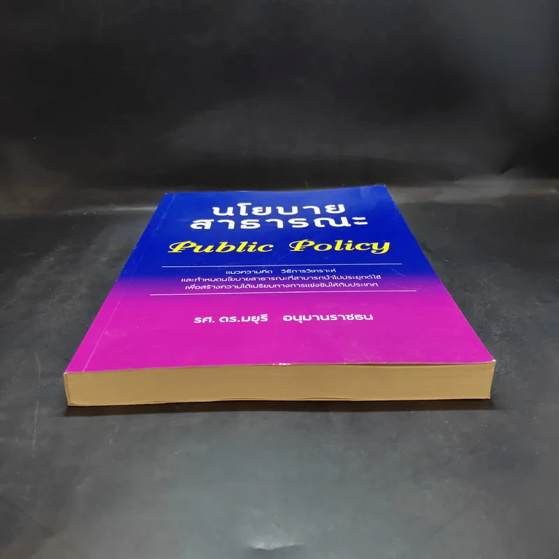 นโยบายสาธารณะ Public Policy - รศ.ดร.มยุรี อนุมานราชธน รูปที่ 4