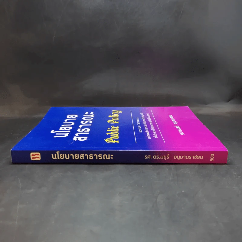 นโยบายสาธารณะ Public Policy - รศ.ดร.มยุรี อนุมานราชธน รูปที่ 3
