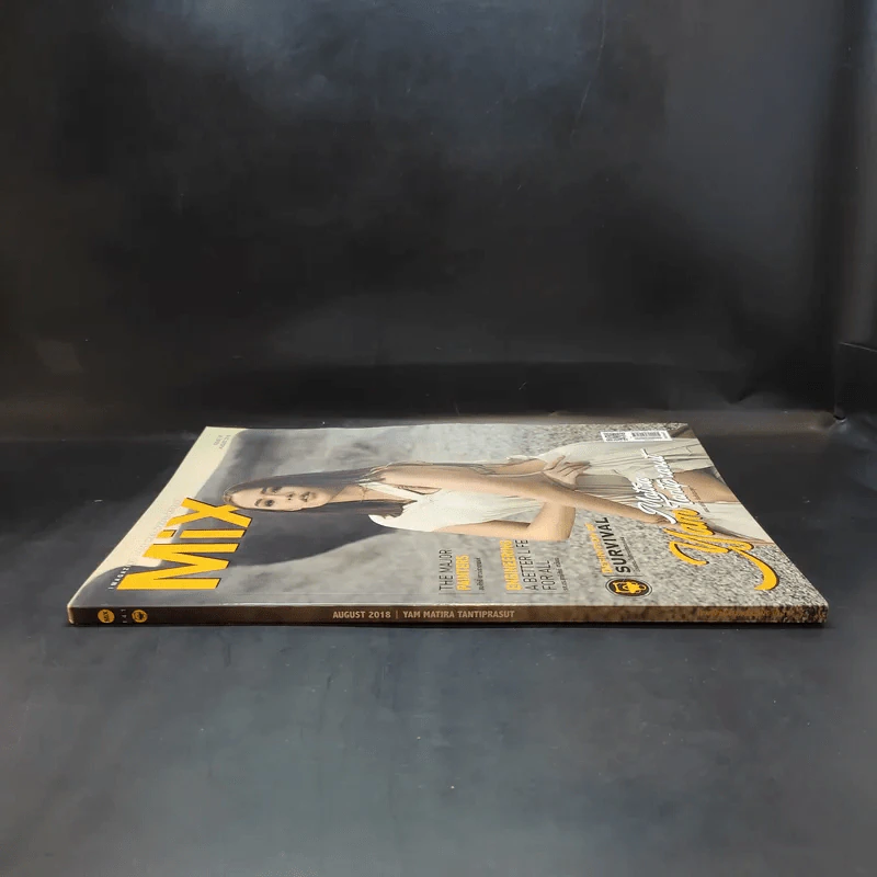 Mix Issue 141 Aug 2018 รูปที่ 3