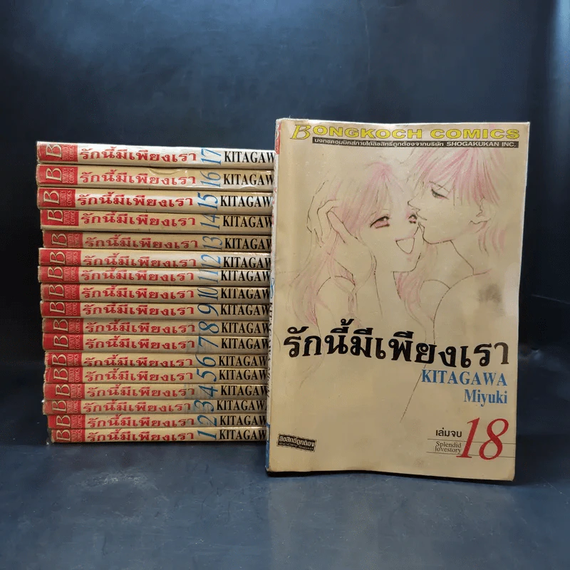 รักนี้มีเพียงเรา 18 เล่มจบ รูปที่ 1
