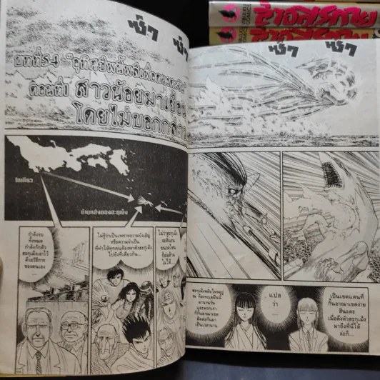ล่าอสูรกาย เล่ม 16-33 รูปที่ 10