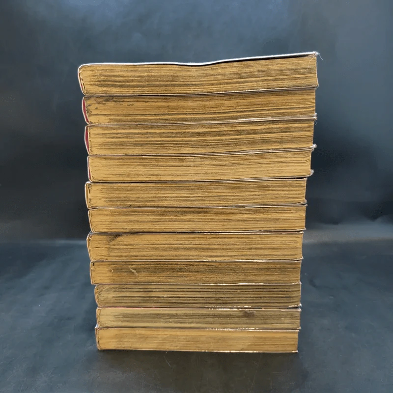 ผู้พิทักษ์พันธุ์อสูร เล่ม 1-11 รูปที่ 3