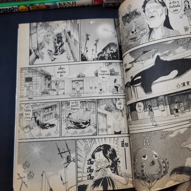 โอซาว่าฮายกครัว ต้นตระกูล 28 เล่มจบ (ขาดเล่ม 3) รูปที่ 10
