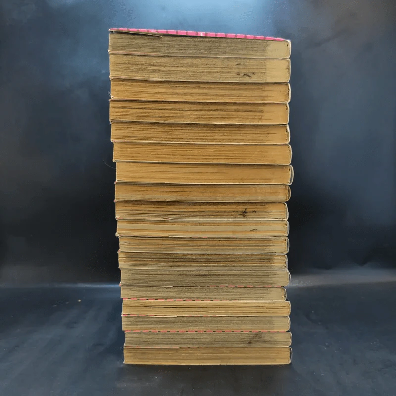 ล่าอสูรกาย เล่ม 16-33 รูปที่ 4