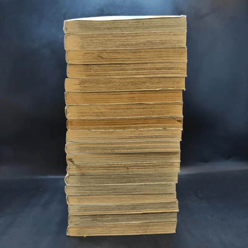 ล่าอสูรกาย เล่ม 16-33 รูปที่ 3