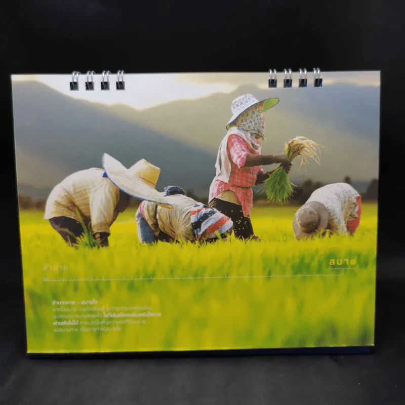 ปฏิทินตั้งโต๊ะ ธนาคารกรุงเทพ 2556 รูปที่ 7