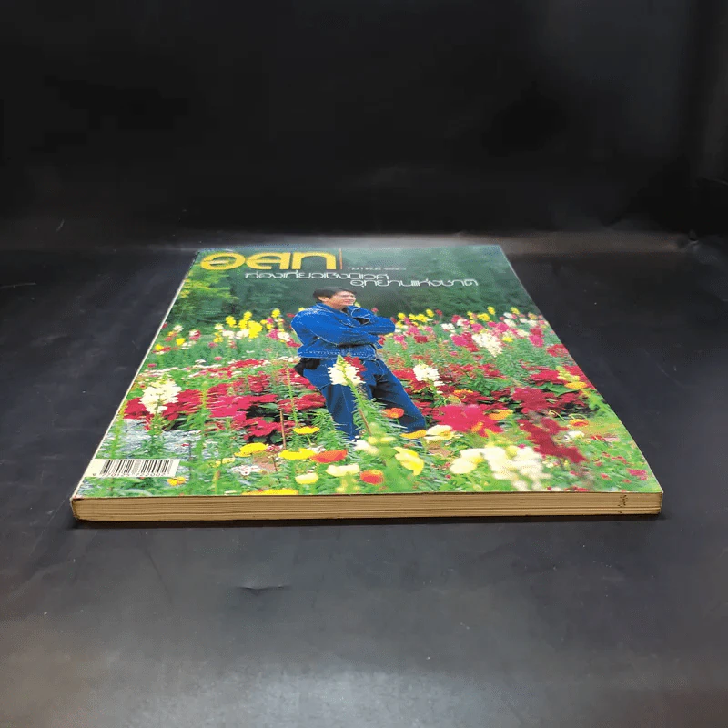 อสท ปีที่ 43 ฉบับที่ 7 ก.พ.2556 ติ๊ก เจษฎาภรณ์ รูปที่ 3
