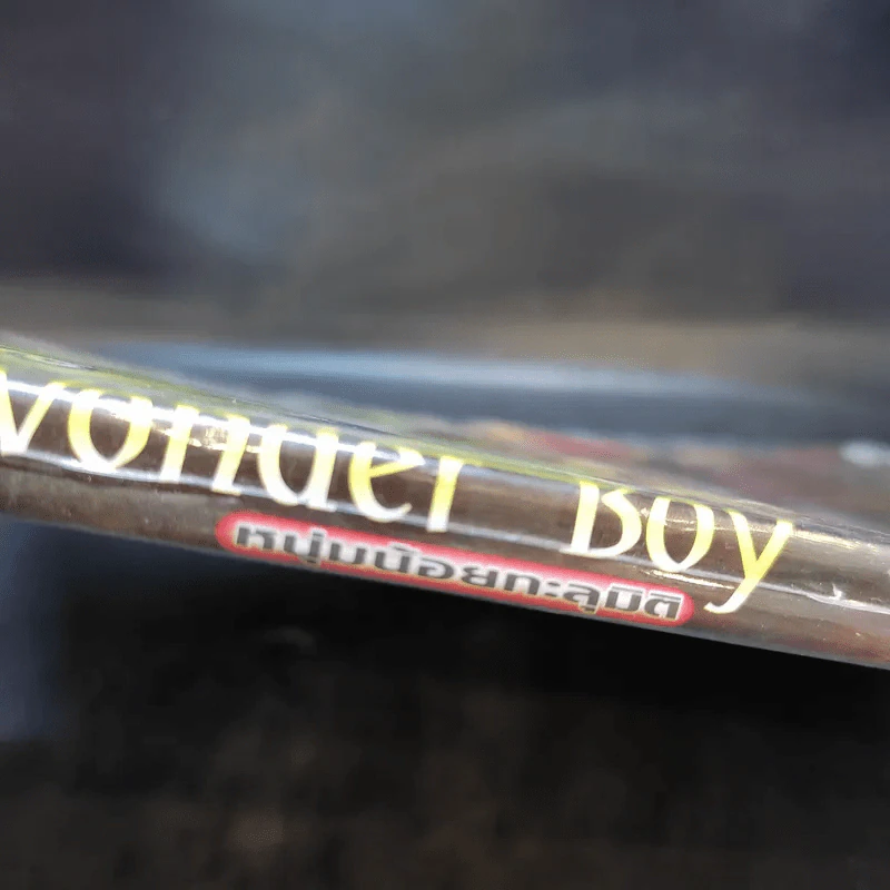 A Wonder Boy หนุ่มน้อยทะลุมิติ เล่ม 7 รูปที่ 6