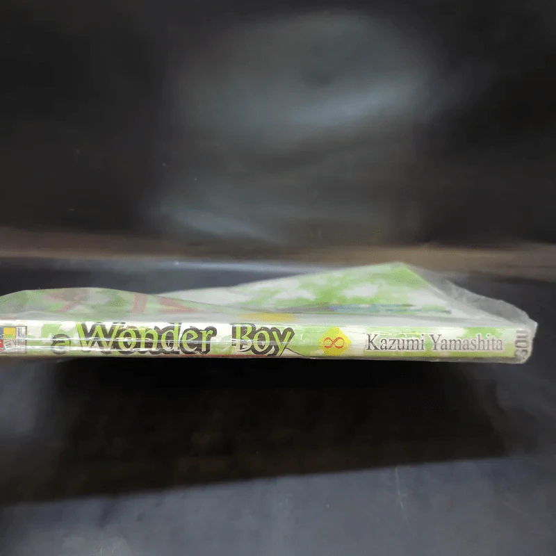 A Wonder Boy หนุ่มน้อยทะลุมิติ เล่ม 8 รูปที่ 3
