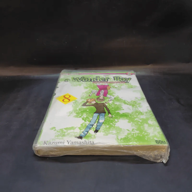 A Wonder Boy หนุ่มน้อยทะลุมิติ เล่ม 8 รูปที่ 4