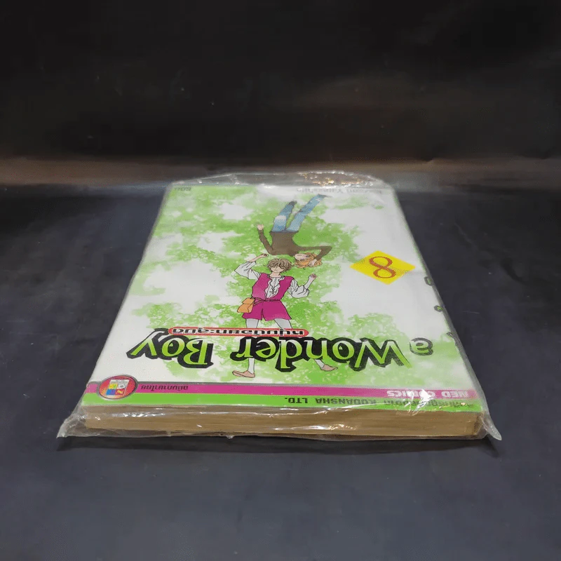 A Wonder Boy หนุ่มน้อยทะลุมิติ เล่ม 8 รูปที่ 6