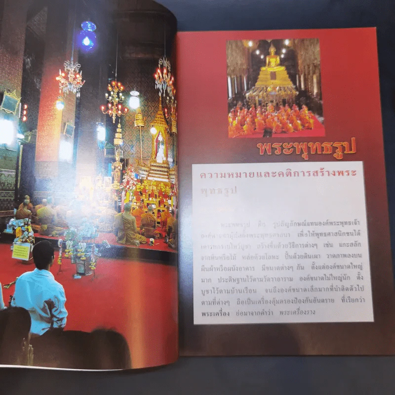 สารานุกรมไทยสำหรับเยาวชน เล่ม 8 รูปที่ 10