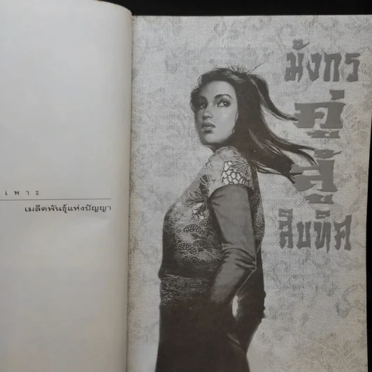 มังกรคู่สู้สิบทิศ เล่ม 3 - น.นพรัตน์ รูปที่ 8
