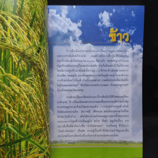 สารานุกรมไทยสำหรับเยาวชน เล่ม 16 รูปที่ 10