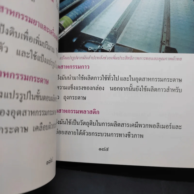 สารานุกรมไทยสำหรับเยาวชน เล่ม 16 รูปที่ 12