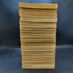 BASTARD อสูรร้ายจอมราชัน เล่ม 1-25 รูปที่ 5