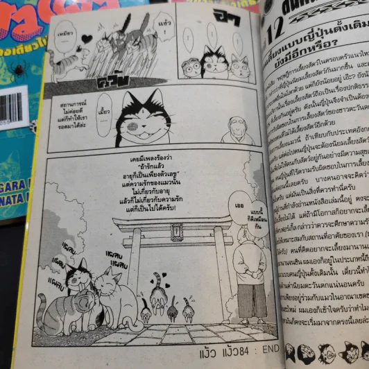 แง้วแง้ว แมวอย่างเดียวไม่เกี่ยวกับคน เล่ม 1-7 รูปที่ 13
