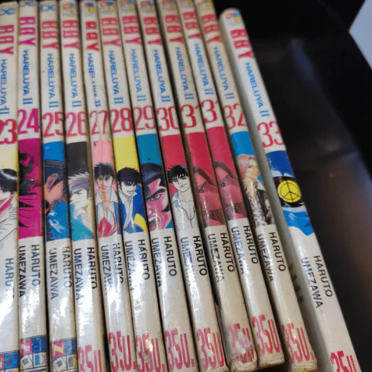 Boy Hareluya II เล่ม 7,9-12,14,15,17,19-33 รูปที่ 15