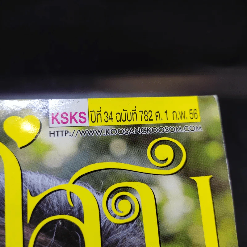 คู่สร้างคู่สม ปีที่ 34 ฉบับที่ 782 ก.พ.2556 ปอ ทฤษฎี, พลอย เฌอมาลย์ รูปที่ 2