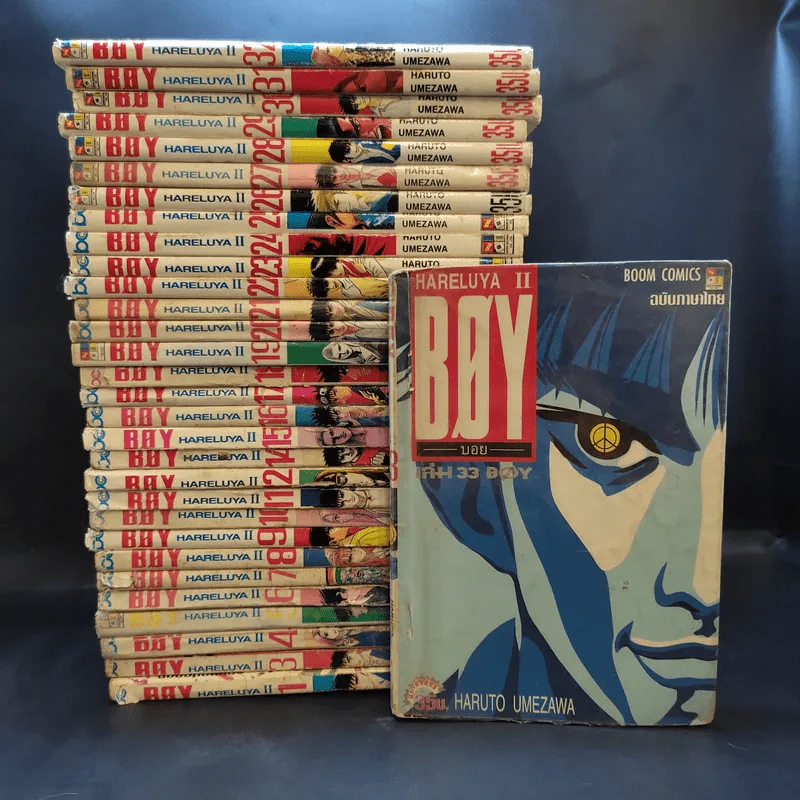 Boy Hareluya II 33 เล่มจบ (ขาดเล่ม 2,13) รูปที่ 1