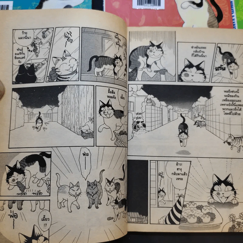 แง้วแง้ว แมวอย่างเดียวไม่เกี่ยวกับคน เล่ม 1-7 รูปที่ 12