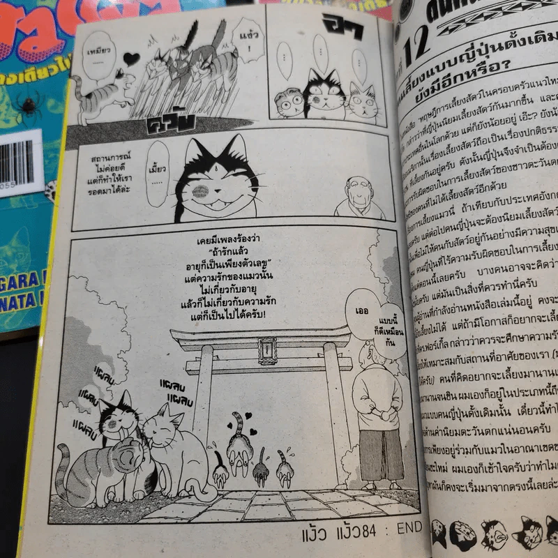แง้วแง้ว แมวอย่างเดียวไม่เกี่ยวกับคน เล่ม 1-7 รูปที่ 13