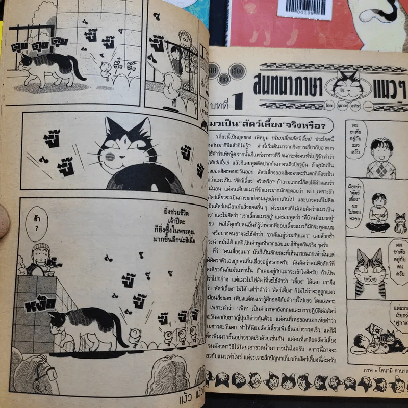 แง้วแง้ว แมวอย่างเดียวไม่เกี่ยวกับคน เล่ม 1-7 รูปที่ 11