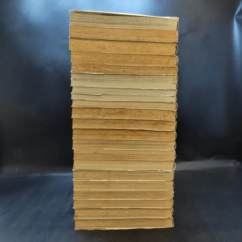 Shanaou ขุนศึกสะท้านปฐพี เล่ม 1-22 รูปที่ 5