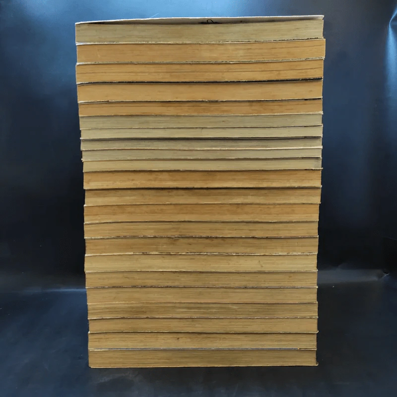 Shanaou ขุนศึกสะท้านปฐพี เล่ม 1-22 รูปที่ 4