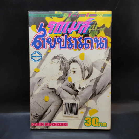 รถเมล์สายปรารถนา รูปที่ 1