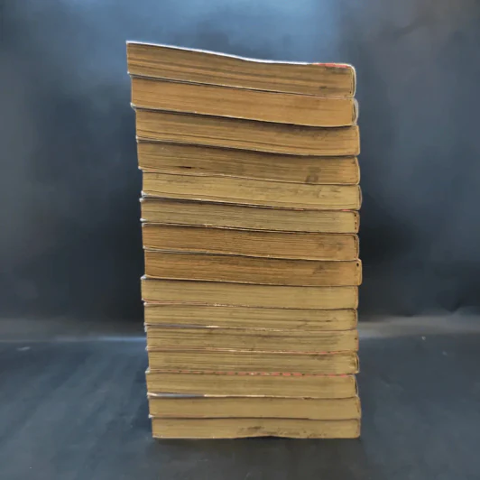 BECK ปุปะจังหวะฮา เล่ม 9,10,11,15-19,28,29,30-34 รูปที่ 5