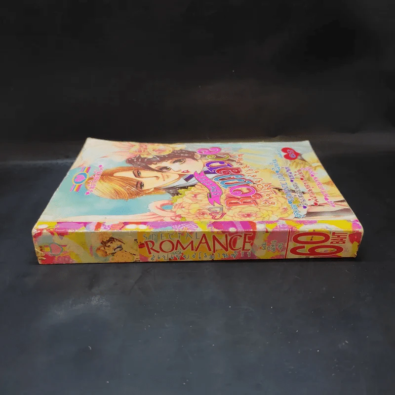 Special Romance สเปเชี่ยลโรมานซ์ 11 รูปที่ 3