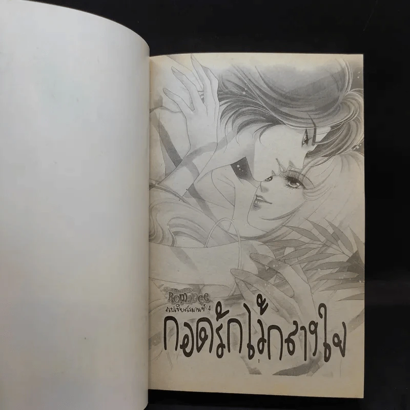 Special Romance สเปเชี่ยลโรมานซ์ 4 รูปที่ 8