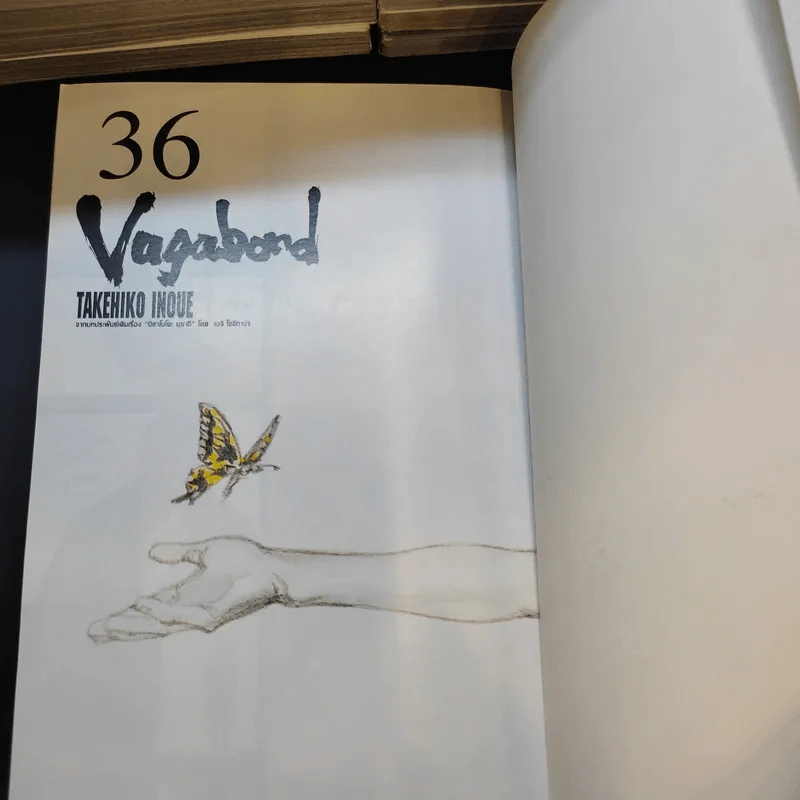 Vagabond เล่ม 1-36 รูปที่ 9