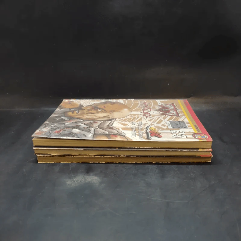 มีดที่ 13 Nostalgia เล่ม 5,19,23 รูปที่ 5