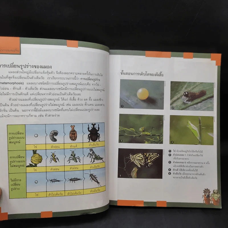 เอาชีวิตรอดในอาณาจักรแมลง เล่ม 2 รูปที่ 14