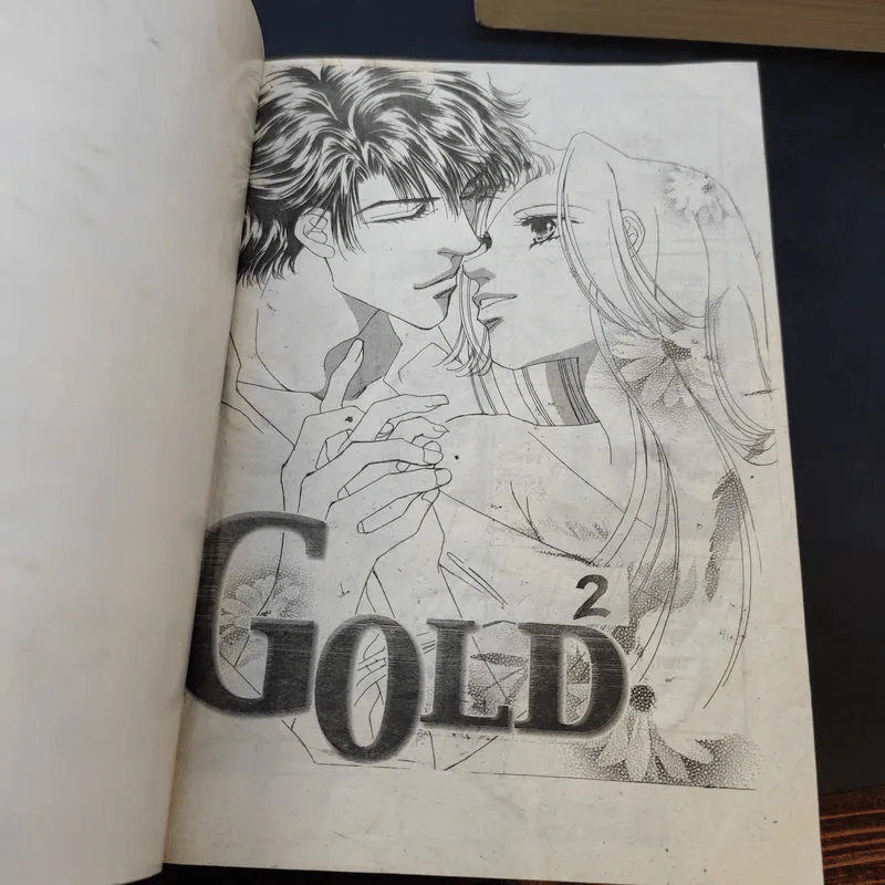 Gold โกลด์ รักนี้สีทอง 2 เล่มจบ รูปที่ 9