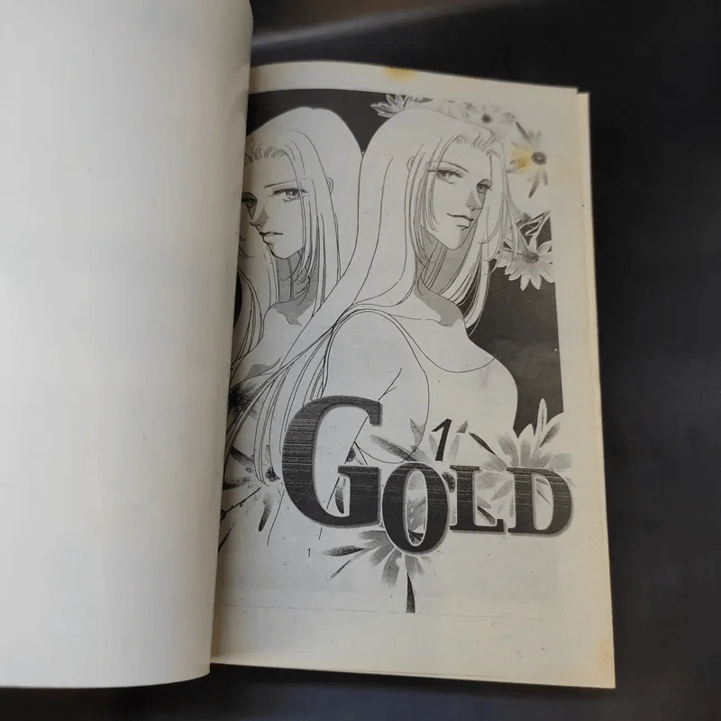 Gold โกลด์ รักนี้สีทอง 2 เล่มจบ รูปที่ 8