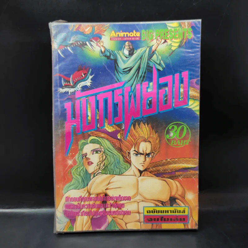 มังกรผยอง จบในเล่ม รูปที่ 1