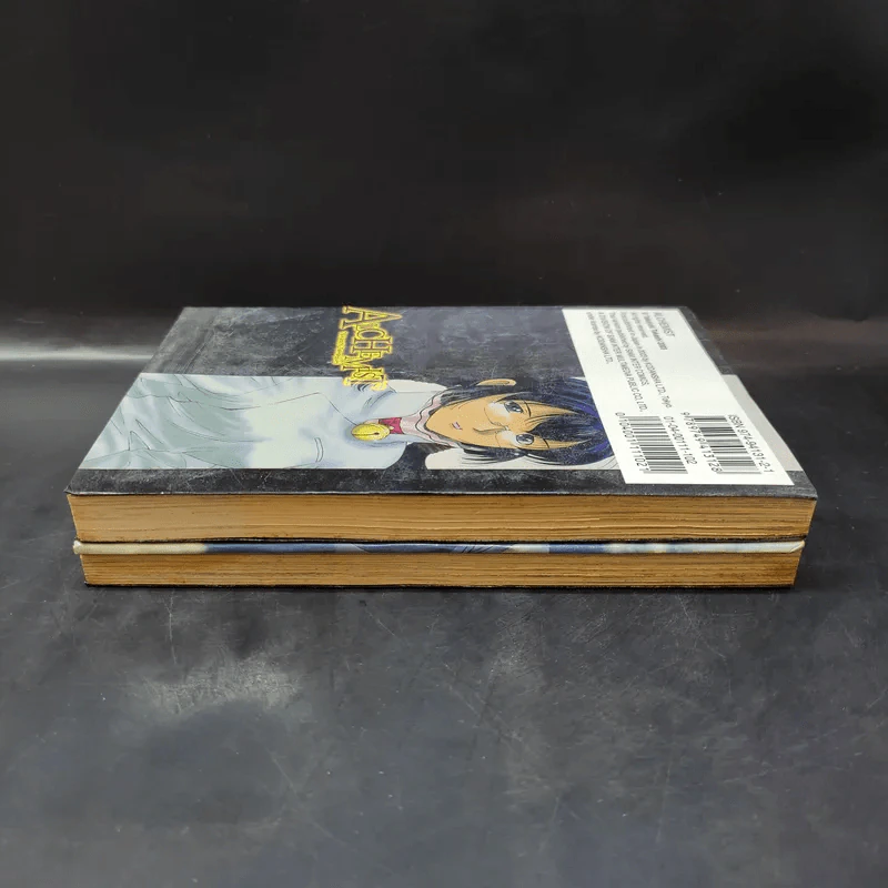 Alchemist อัลเคมิสต์ 2 เล่มจบ รูปที่ 4