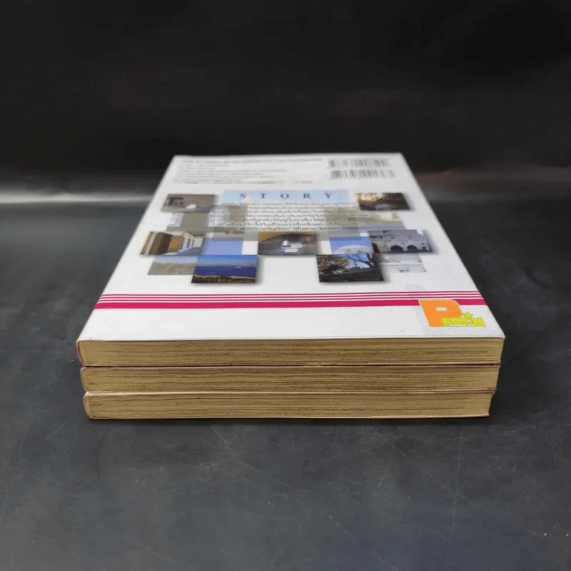 หัวใจในกรงทอง เล่ม 1-3 รูปที่ 4