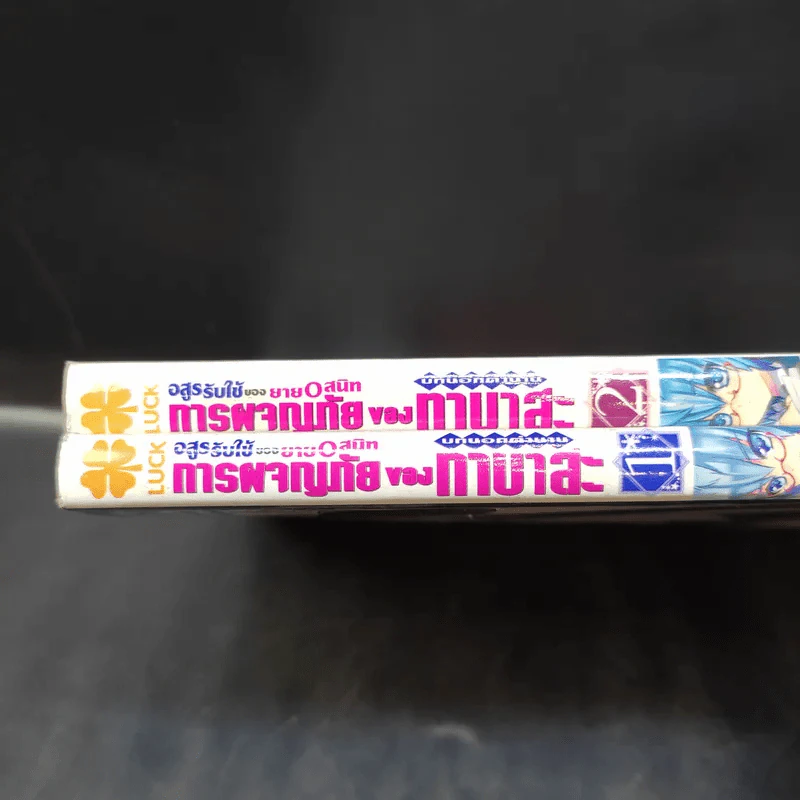 อสูรรับใช้ของยาย0สนิท บทนอกตำนาน การผจญภัยของทาบาสะ เล่ม 1-2 รูปที่ 7