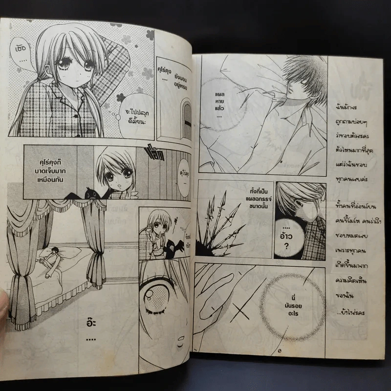 Love Monster 12 เล่มจบ รูปที่ 11