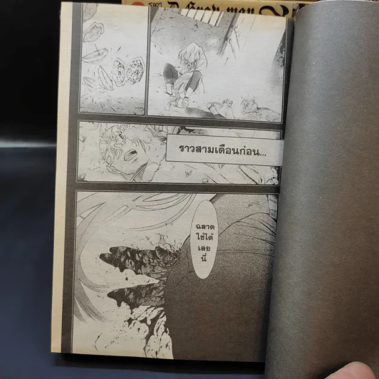 D.GRAY-MAN ดี.เกรย์ แมน เล่ม 1-16,18-24 รูปที่ 10