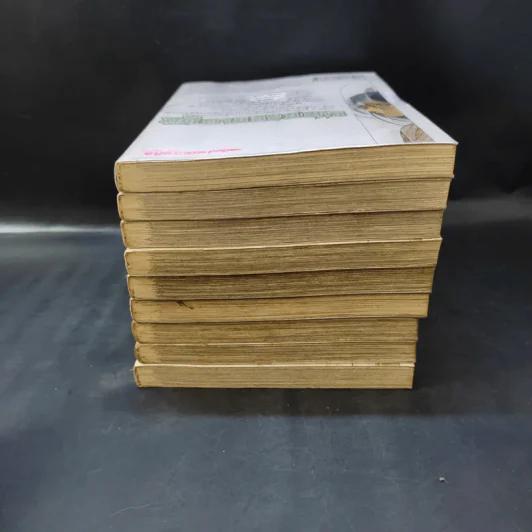 ภูติดาบสยบมาร เล่ม 1-9 รูปที่ 3