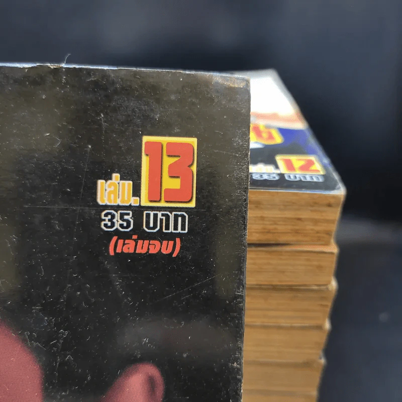 Great Gamble Gods คนตัดเซียน 13 เล่มจบ รูปที่ 6